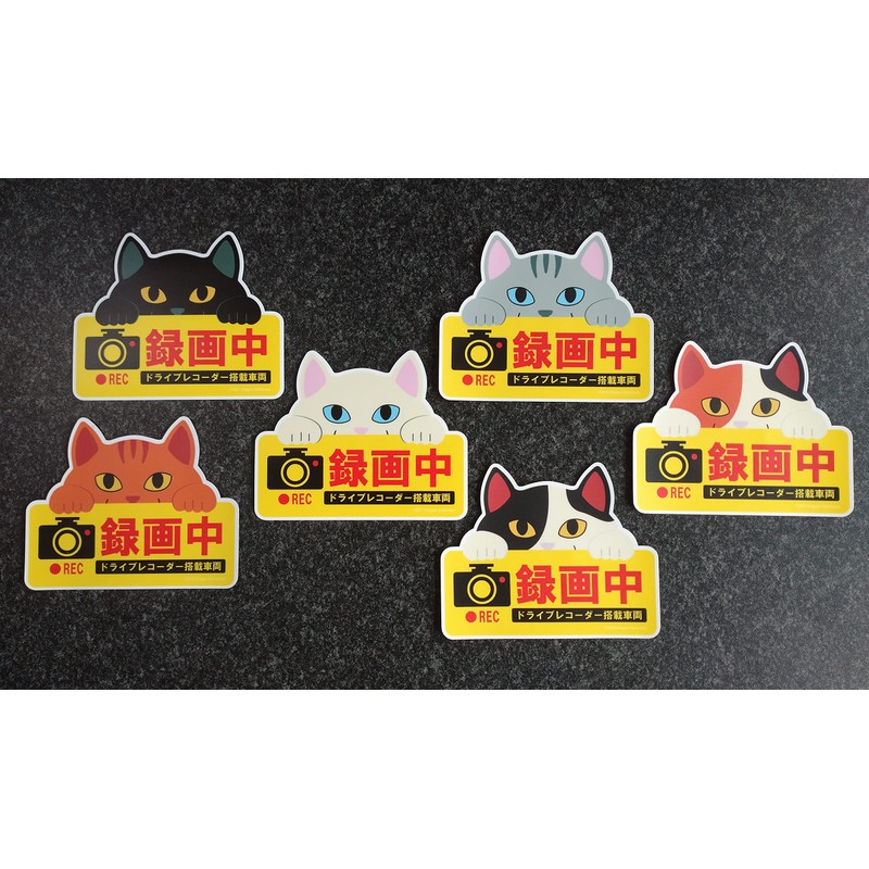Cute Cat Magnetic Sign Dash Cam Recording Black Cat