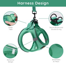 BELLA & PAL Puppy Harness with Leash Set, Dog Harness for Small Dogs No Pull, Dog Leash for Small Dogs, Step in Harness for Extra Small Dogs, Green Harness, L BPH00434