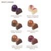 Ethel M Chocolates Premium Truffles Collection, Milk, Dark and White12-Piece