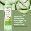 ANYELUZ Rosemary Shampoo and Aloe Conditioner Set, Volume and Hydration