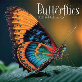 TURNER PHOTOGRAPHIC Butterflies 12x12 Photo Wall Calendar (25998940010)