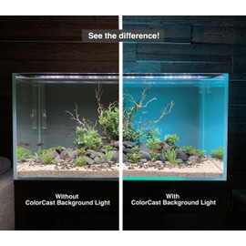 ColorCast Smart LED Aquarium Background Light Kit with Frosted Background Film | Smartphone and Voice Control | 24/7 Timers | Alexa and Google Home | for Aquariums, Terrariums and Vivariums | 18"-32"