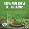 Pure Virgin Organic Neem Oil for Skin, Hair & Face