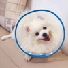 renyigou Pet cone collar Cat cone dog cone rehabilitation soft
