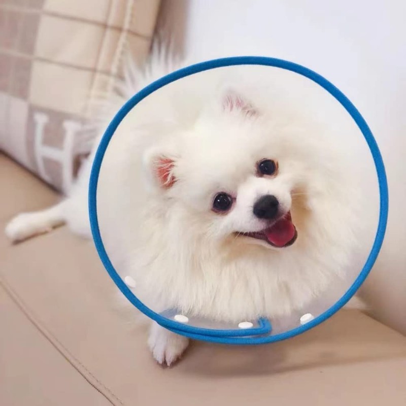 renyigou Pet cone collar Cat cone dog cone rehabilitation soft