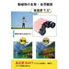 VisionKids Binoculars for Live Use, 10x 10x22, Opera Glasses, Binoculars