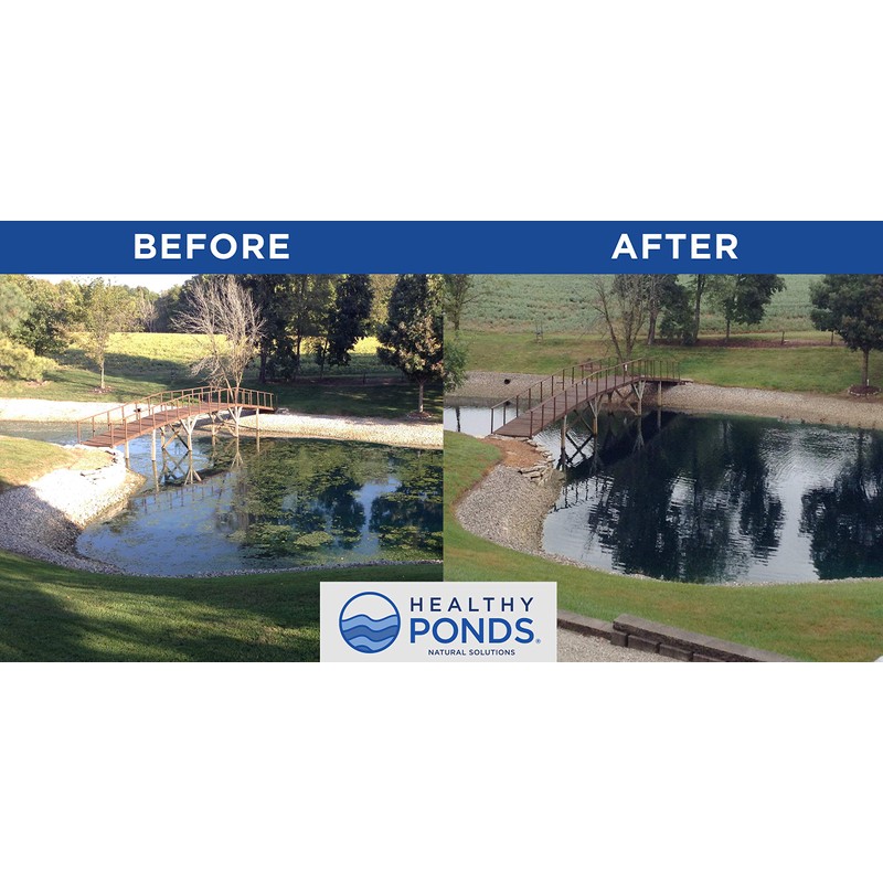Healthy Ponds Aquasphere Pro Biodegradable Pond Treatment, Treats up to