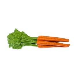 Miniblings Carrot Brooch Vegetable Beet Carrot Rubber Handmade Fashion Jewellery I Lapel Pin Button Pins, Rubber, metal