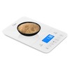 Ozeri Touch III 22 lbs (10 kg) Baker's Kitchen Scale