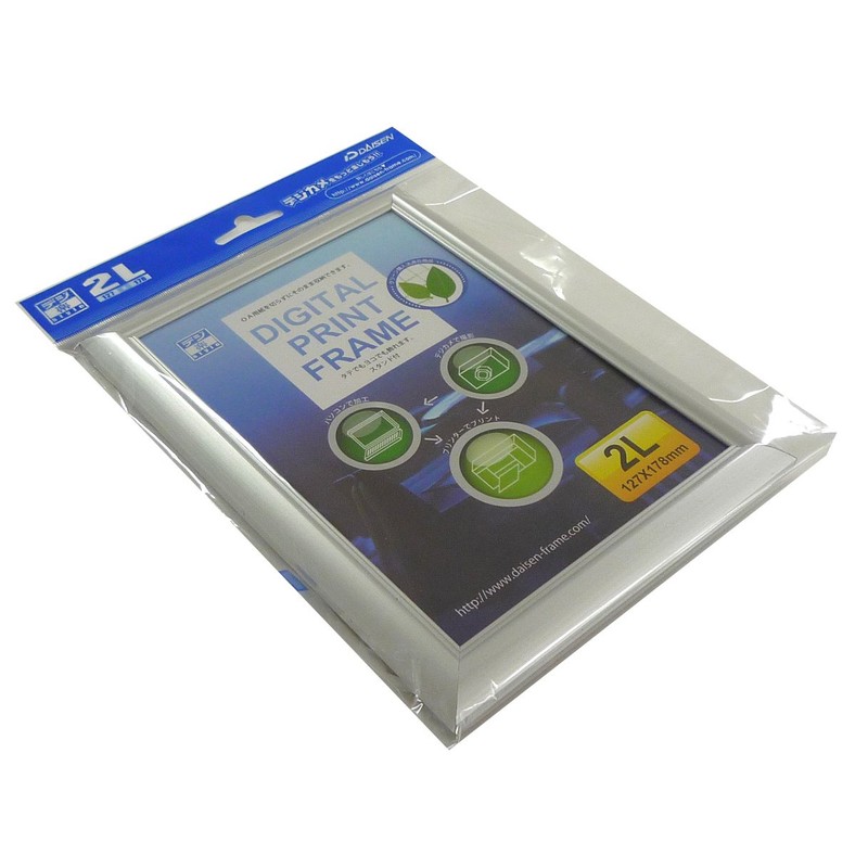 大仙 OA Forehead dezitarupurintohure-mu , sliver