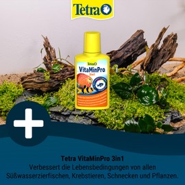 Tetra VitaMinPro 3-in-1 Probiotic Water Treatment for Improving Living Conditions, All Aquarium Inhabitants, 250 ml Bottle