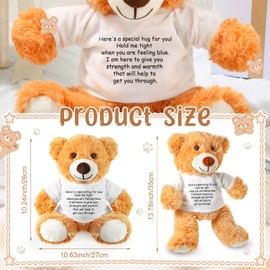 Lenwen a Bear Hug Gift Get Well Soon Bear Sympathy Gift for Women Plush Stuffed Animal Hug Thinking of You Condolences Memorial Loved Present (Orange)