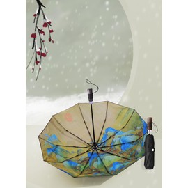 Rain Cats Large 46/50 Inch Umbrellas for rain Strong10 Ribs Fiberglass Umbrella Windproof Wabig Compact Automatic portable Folding Travel Thick Fabric Wood handle (B-Crane Chart, 41 inches in diameter)
