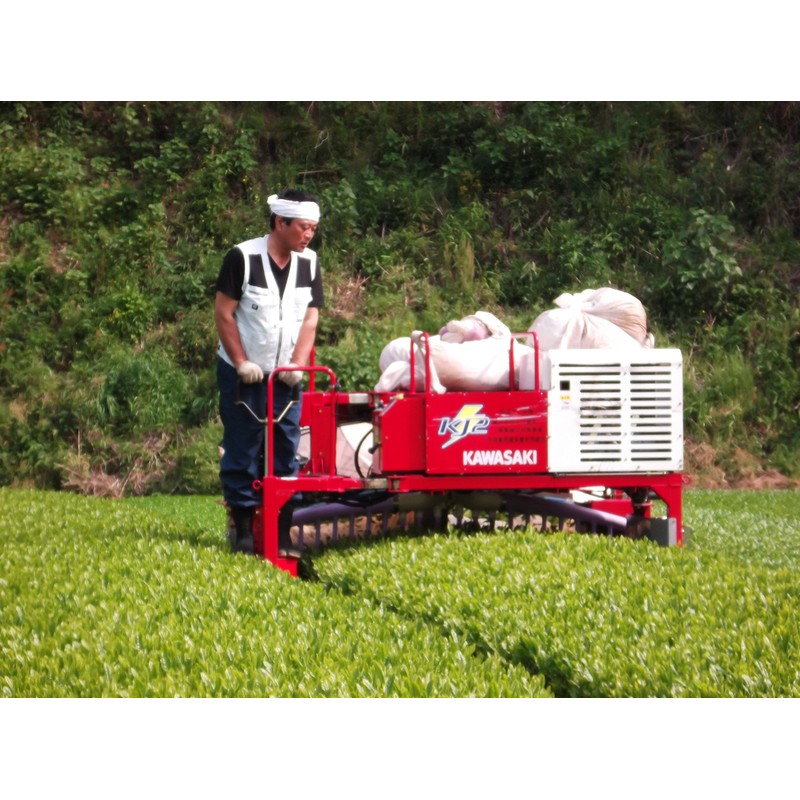2024 New Tea Ureshino Tea Premium Special Selection Set of