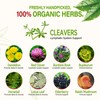 HerbOLITHIC Cleavers Herb Lymphatic Drainage Organic Tea Bag, 9-in-1 Herbal