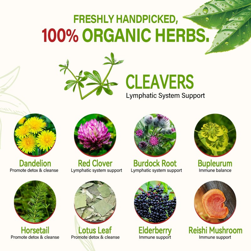 HerbOLITHIC Cleavers Herb Lymphatic Drainage Organic Tea Bag, 9-in-1 Herbal