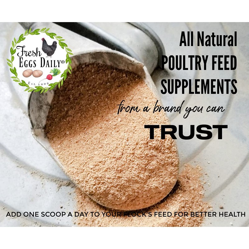 Fresh Eggs Daily Poultry Probiotics Feed Supplement – Natural Digestive