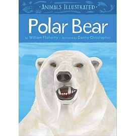 Animals Illustrated: Polar Bear (Animals Illustrated, 1)