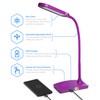 TW Lighting IVY-40BK The IVY LED Desk Lamp with USB
