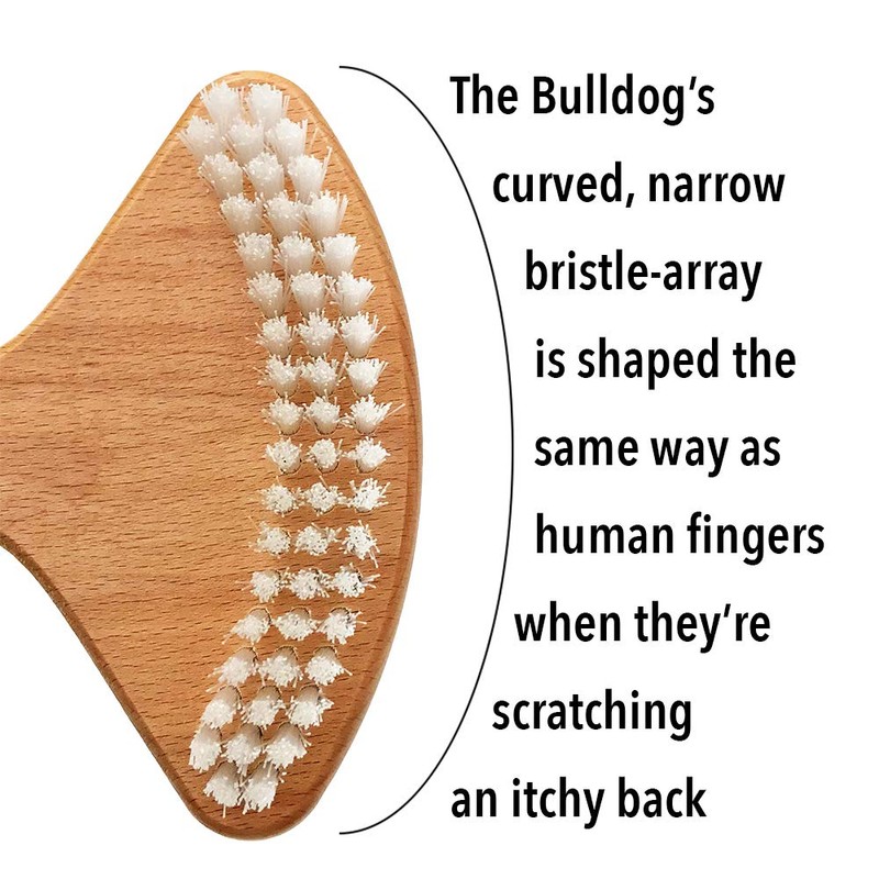 The Bulldog Back Scratcher, The Original Brush Skin Stimulator for