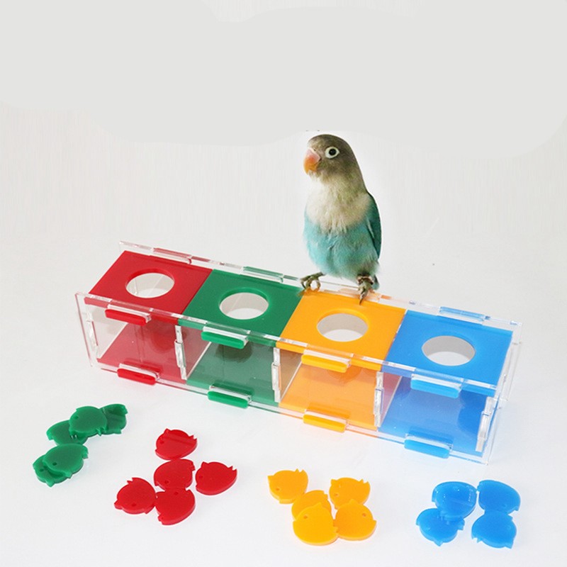 Parrot Color Separation Coin Box Educational Bird Treasure Desktop Interactive