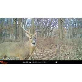 Wildgame Innovations Insite-V 2-Pack Cellular Trail Camera 32 MP, 80ft Detection