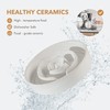 Havniva Ceramic 1.2 Cup Raised Slow Feeder Dog Bowl Set,