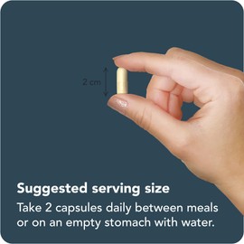 Vitamin Bounty Probiotics - 13 Probiotic Strains, Gut Health, Digestive Health, Probiotic for Women and Men, Delayed Release Embocaps (60 Capsules)