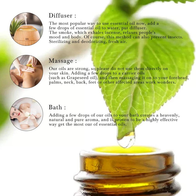 RAINBOW ABBY 6-Pack Orangic 100% Pure Essential Oil Set (Peppermint,