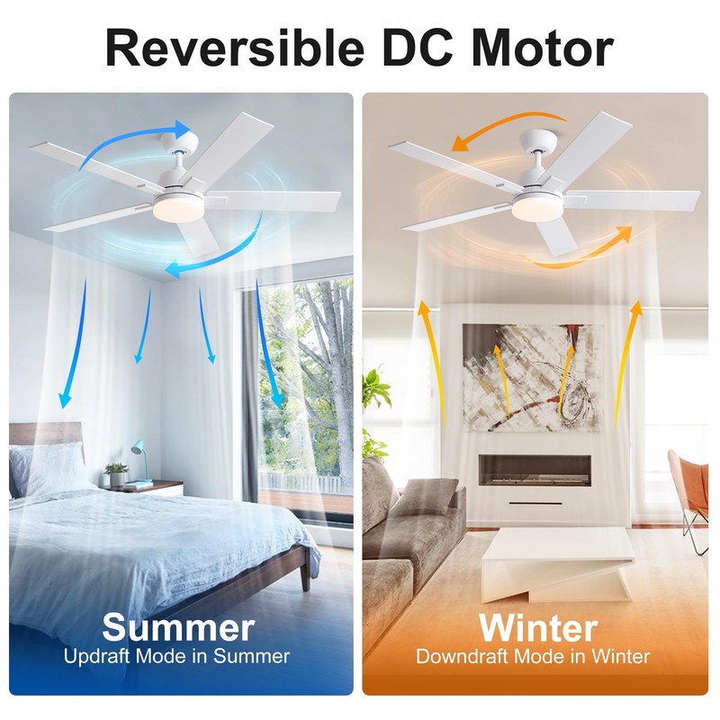 Rayqueen 52 Inch Ceiling Fans with Lights and Remote,White Ceiling