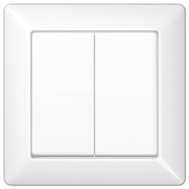 Jung AS590 5Ww Rocker Switch for Series Switches