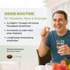 Dr. Böhm Magnesium 50 plus: to support the normal function