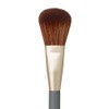 jane iredale Pro Series Powder Complexion Brush, Large, Fluffy Tapered