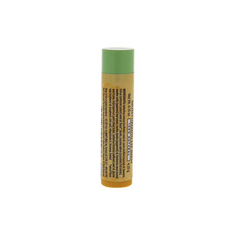 Burt's Bees Cucumber Mint Moisturizing Lip Balm for Women, Orange,