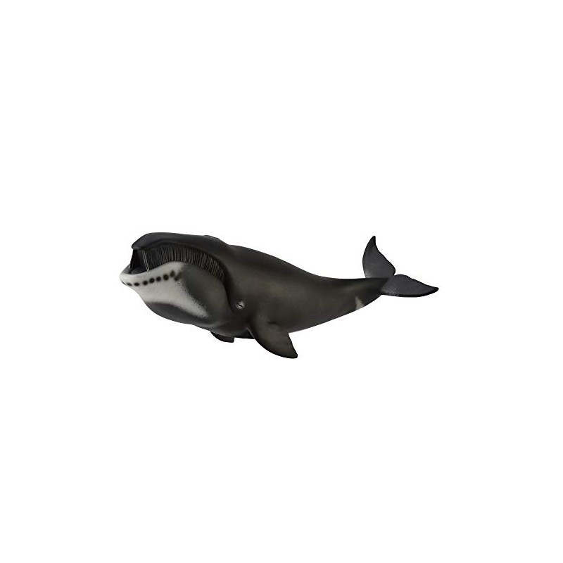 CollectA Bowhead Whale