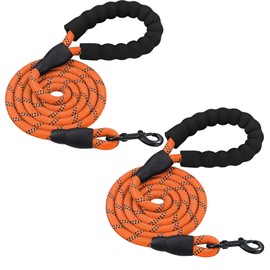 PETESCORT Dog Leashes for Large Medium and Small Dogs,Laisse Pour Chien with Comfortable Padded Handle,Heavy Duty Dog Leads(1/2in x 6Ft,Orange and Orange(2-Pack))