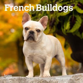 French Bulldogs | 2025 7 x 14 Inch Monthly Mini Wall Calendar | BrownTrout | Animals Dog Breeds