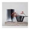 Alvar Aalto Collection Glassware