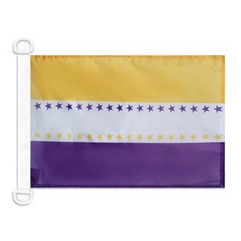 19th Amendment Victory NAUTICAL Flag 18'' x 12'' - National Woman's Right flags 30 x 45 cm - Banner 12x18 in for boat - AZ FLAG