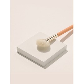 [Best Highlighter] The Tool Lab 160 Blusher Fan / [하이라이터 베스트]더툴랩 160 블러셔 팬