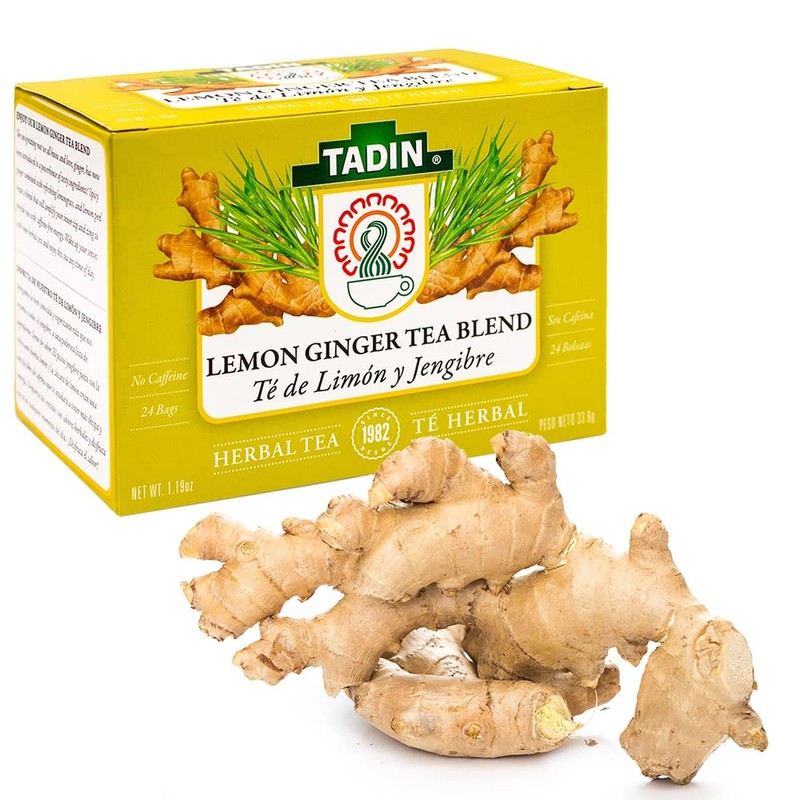 TADIN TEA BAG LEMON GINGER BLEND NAT, 24 Count (Pack