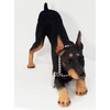 Conversation Concepts Doberman Figurine Black MyDog