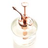 Purism Style Plant Mister- Glass Bottle & Brass Sprayer (Clear