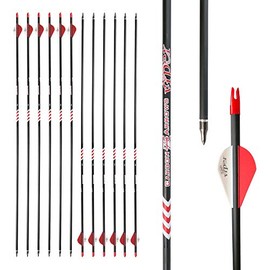 Hunting Archery Carbon Arrow 400 Spine with 2.5″ Vanes Removable Tips for Compound Bow &Recurve Bow (Pack of 12) (31 Inch)