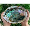 Abalone Shell, Seashell Incense Burner, Smudge Bowl for Holding Smudge