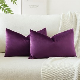 JOTOM Set of 2 Velvet Soft Solid Cushion Covers 30x50 cm Decorative Throw Pillow Covers Soft Lumbar Cushion Case Couch Home Decor Throw Pillow Cases for Sofa Bedroom 12x20 Inch (Eggplant Purple)