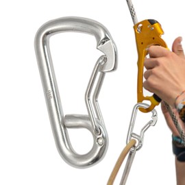 Generic Spring Snap Hook - Marine Grade Snap Hook,Safety Clip, Stainless Steel Snap Hook, Ship Boat Hook, Carabiner Clip for Boating, Camping, NL1PMZDA5T9C21H9BU