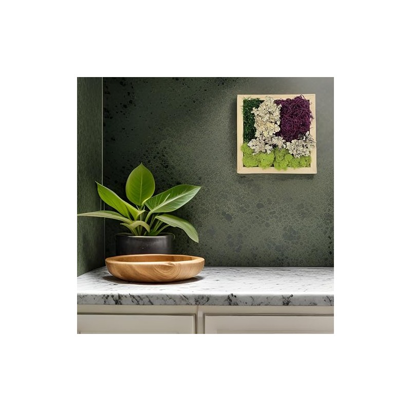 Quality Growers - The Moss Collection Variety Pack - Natural