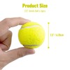 Pet Prime Dog Tennis Ball Toy 6 Pcak 2.5 Inch