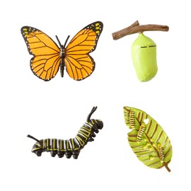 Bojueshaw 4PCS Preschool Butterfly Life Cycle Figurines – Realistic Animal Growth Model Set for Early Learning, Educational Tools for Kids Classroom Science Display